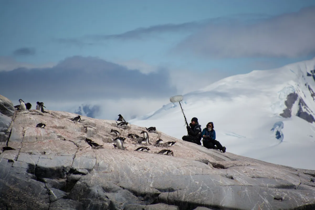 "The photo depicts a rocky landscape with penguins, two people sitting and observing, and snowy mountains in the background.