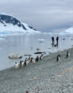 "Group of penguins on a rocky shore in Antarctica with a snowy mountain and icy water in the background.