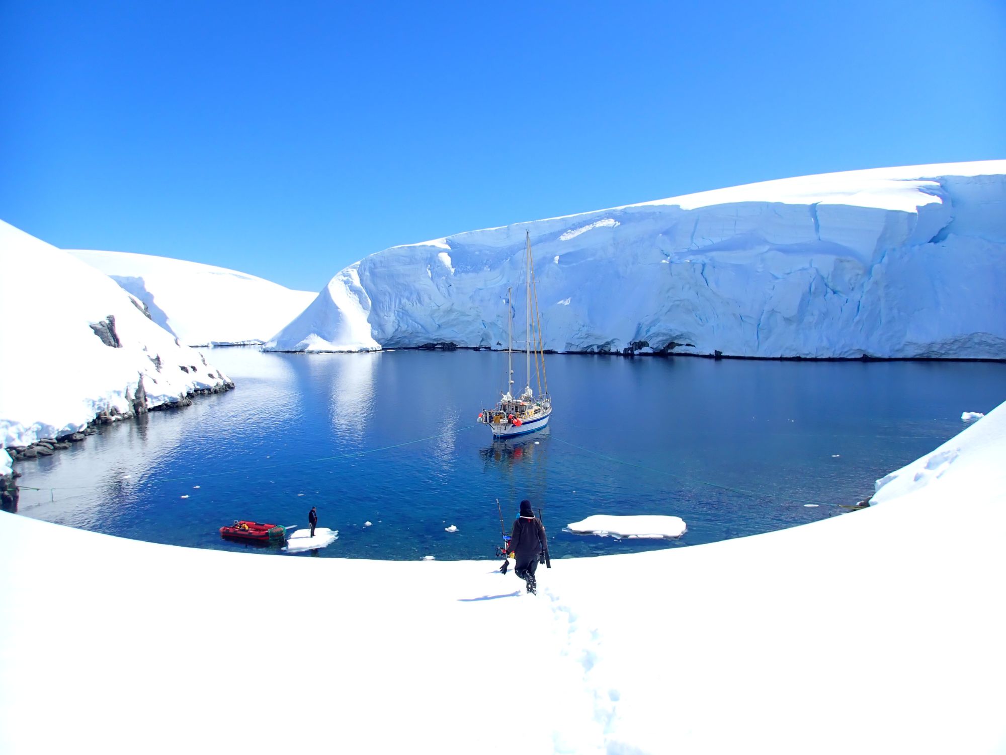 Person walking towards a boat in icy Antarctic waters, surrounded by snow and ice cliffs, with a clear blue sky.