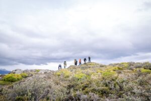 Group of people hiking on a hill with vegetation under an overcast sky in Antarctica.