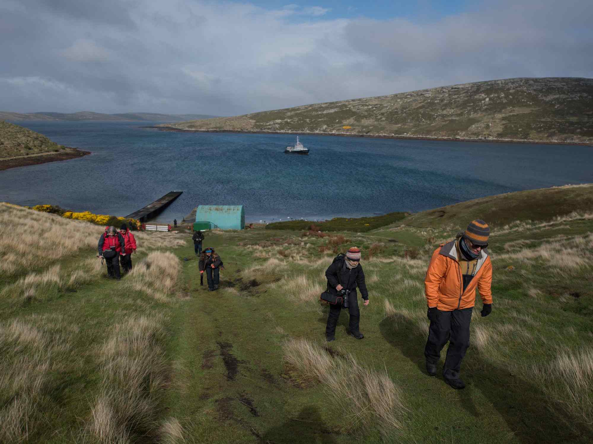 Group of people walking on grassy Antarctic path near a lake with a dock and moored boat, under a partly cloudy sky.