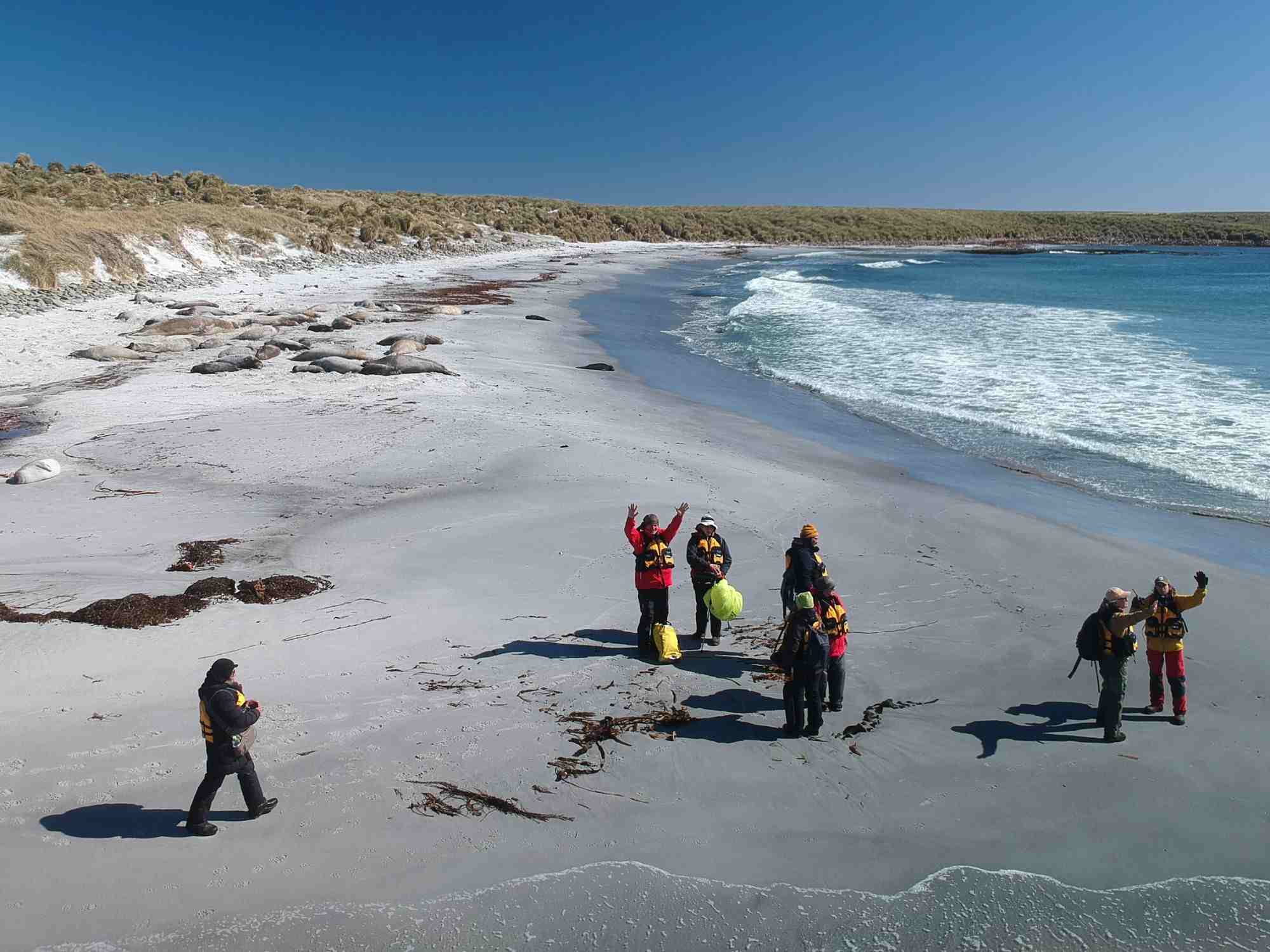 Group of people in outdoor gear on a white sandy beach with some seaweed and debris, waves crashing onto the shore, and a clear blue sky in Faklands