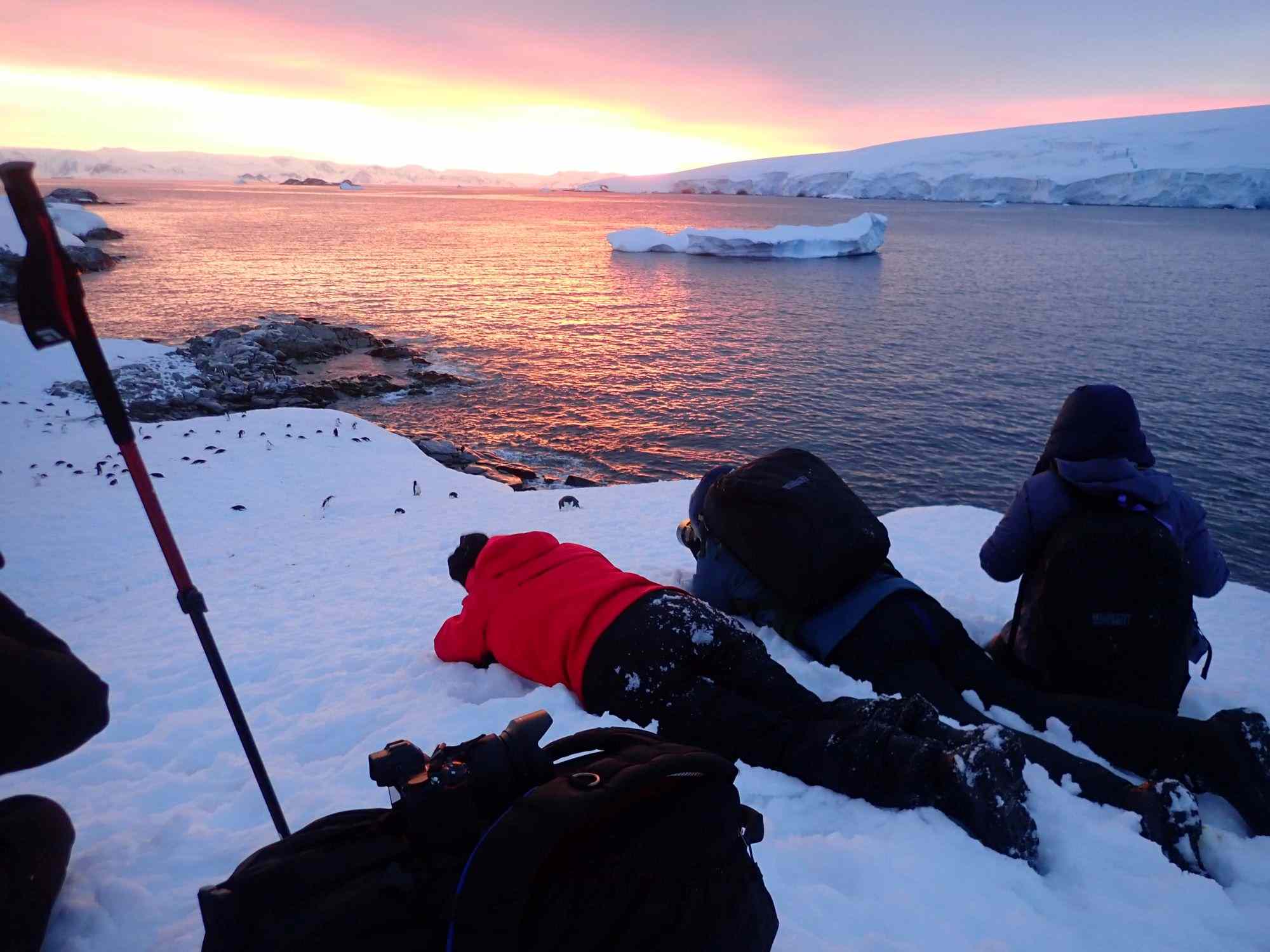 How to Choose the Antarctica Cruise