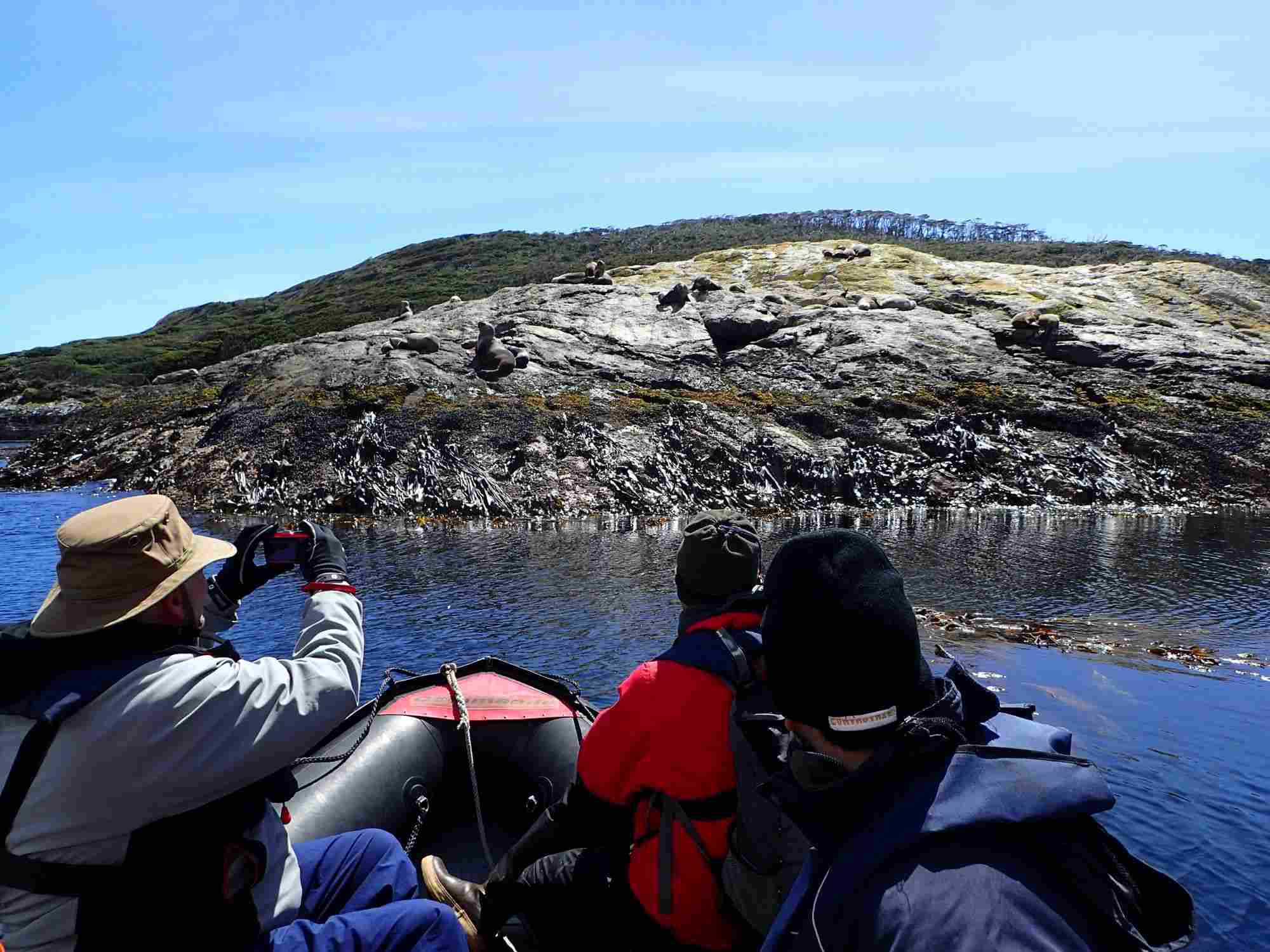 People in a boat observing seals on rocky shore, Isla de los Estados