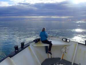 Person on a ship's bow, looking out over calm Antarctic waters under a cloudy sky, reflecting serene expedition scene.