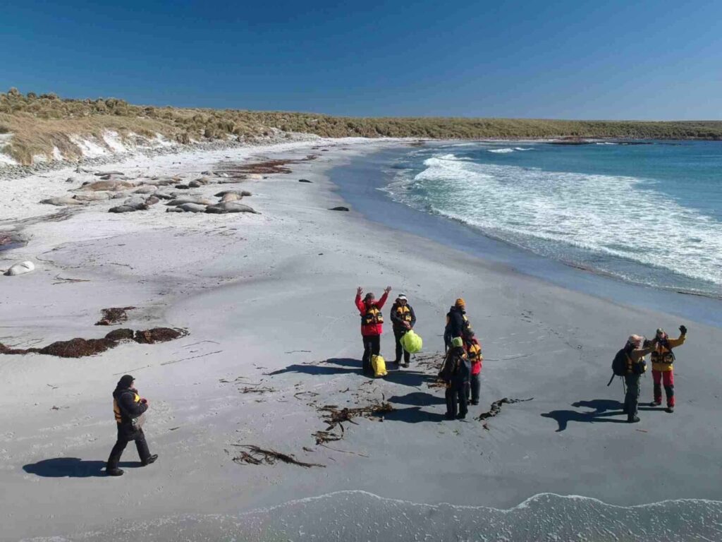 Falkland Islands: Unique wildlife in pristine nature 4