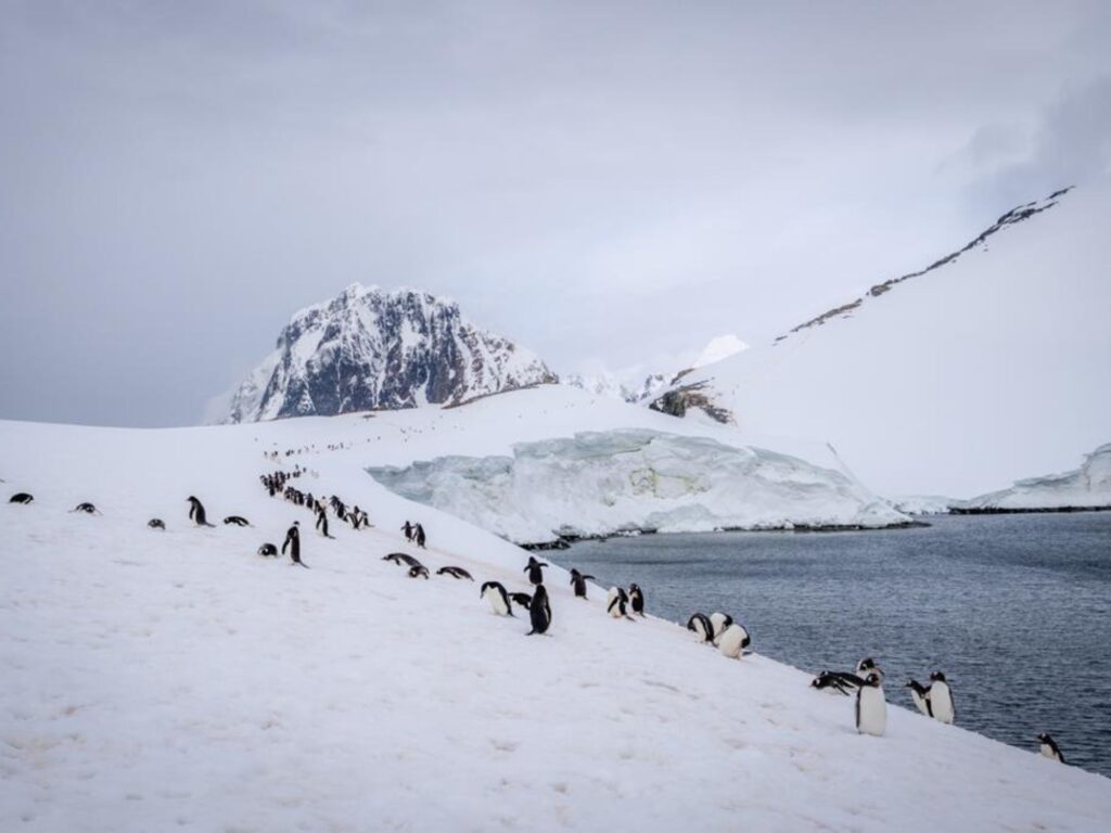 ¿Why visit Antarctica once in your life 2